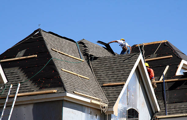 Best Roof Maintenance Services  in Prospect Heights, IL