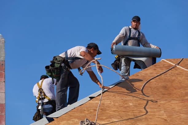 Best Commercial Roofing Services  in Prospect Heights, IL